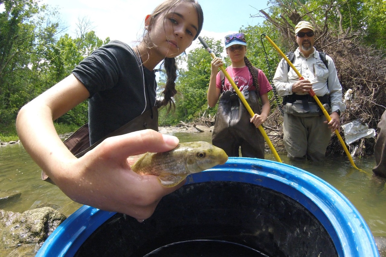 A school-aged Summer Camp participant standing in a stream, holding a fish over a bucket, with other people in the background during The Art of Nature Exploration Camp.