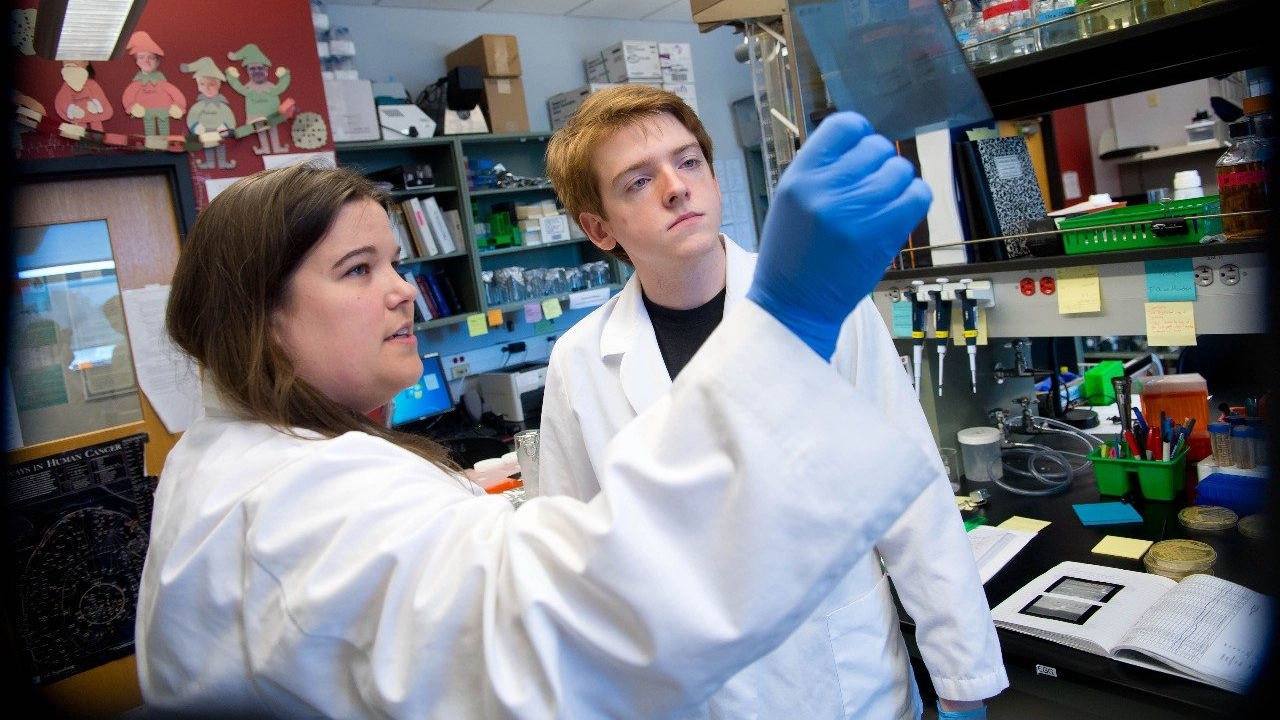 College of Health and Human Services