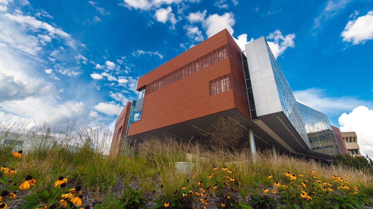 College of Health and Human Services