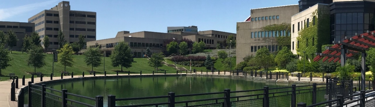 View of campus from Loch Norse