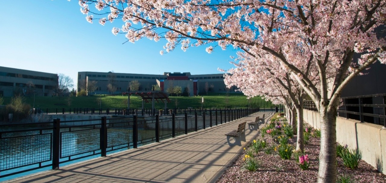 Campus View with trees