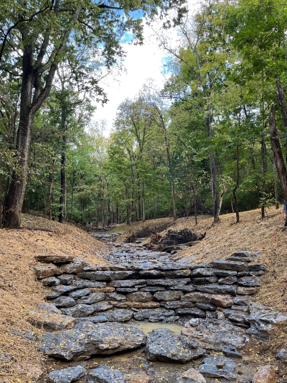 River bed