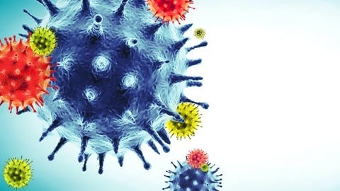 An illustration of the COVID-19 virus