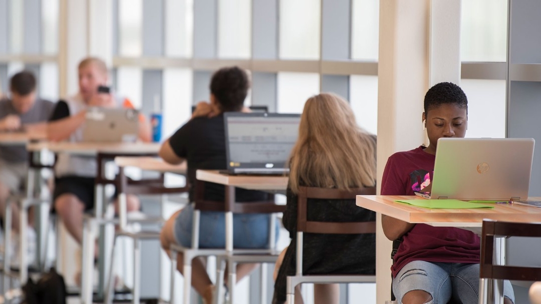 Students studying on campus