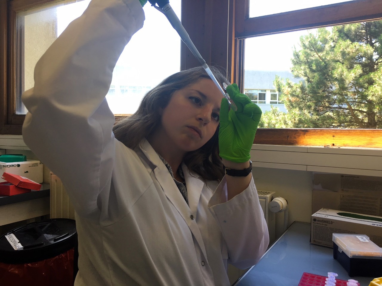 EU STEM-Katie Lab
