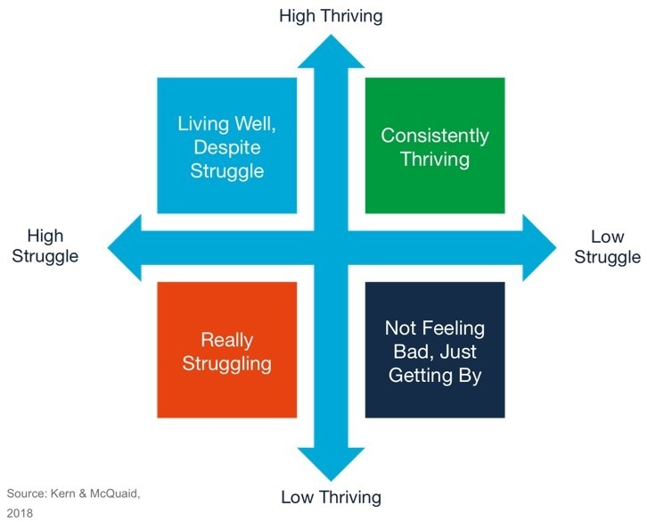 Wellbeing Quadrant