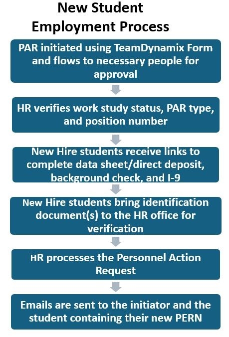 NewStudentEmploymentProcess-image