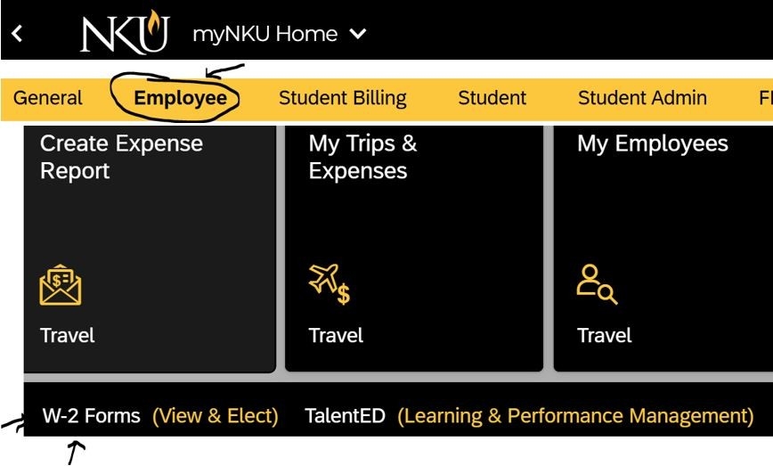 myNKU W-2 view & elect Icon