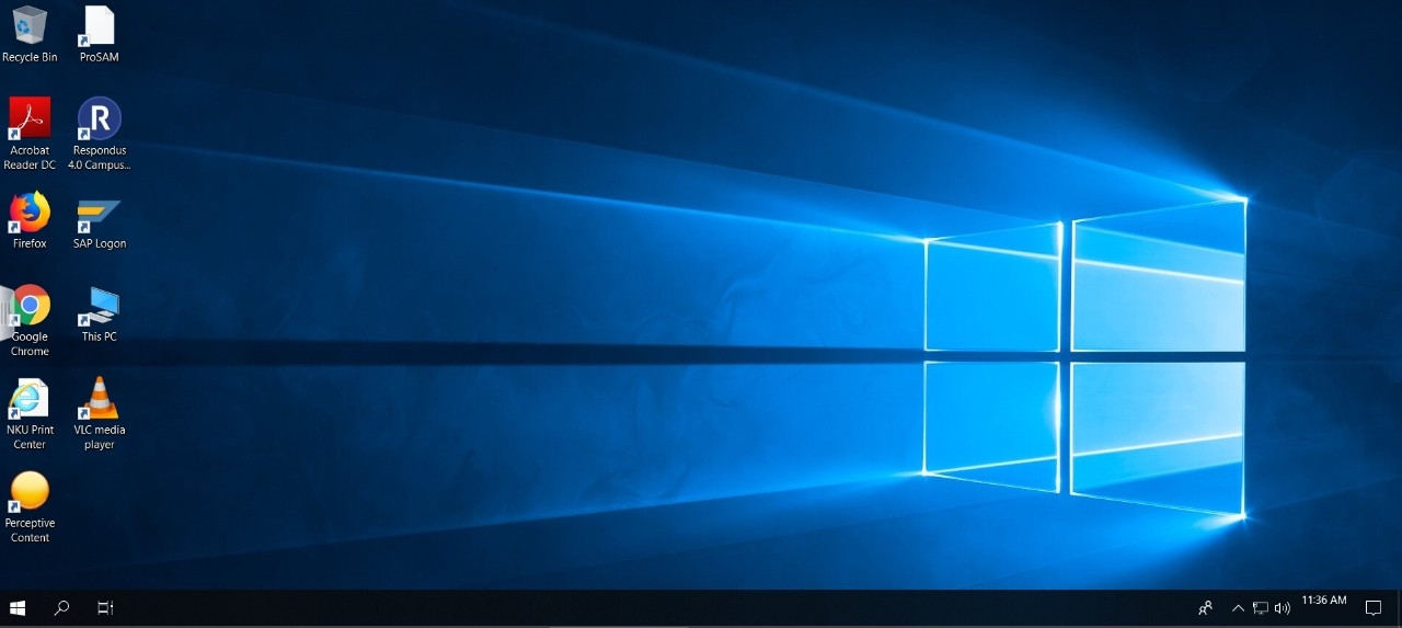 VMware View desktop.