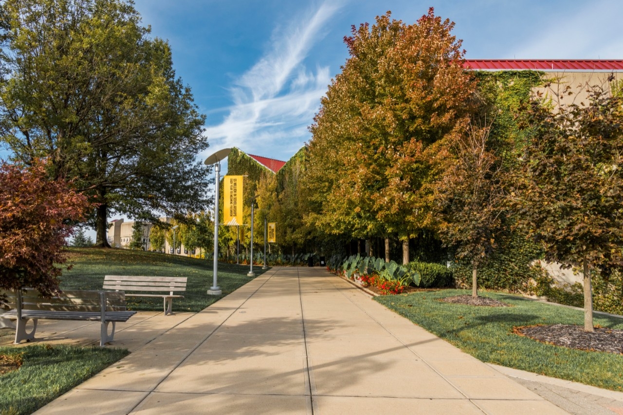 NKU Athletics Logo