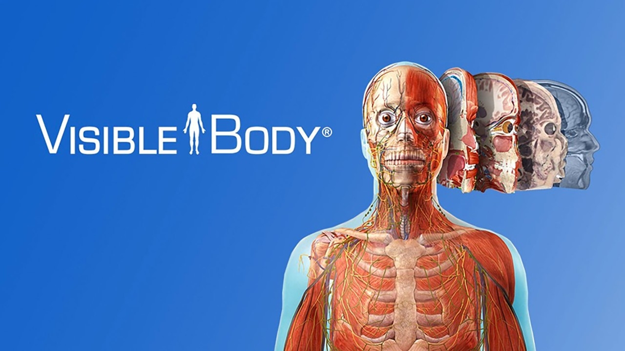 New Interactive Resource! Visible Body 