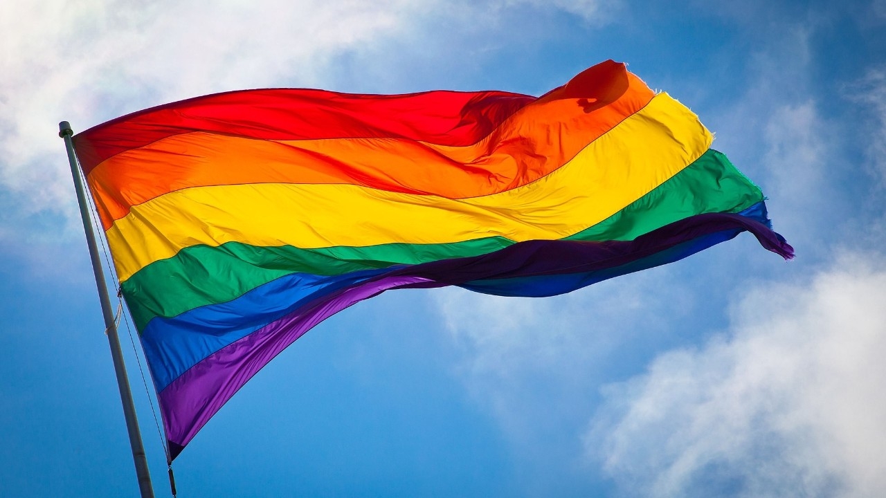 LGBTQ+ Life: New Diversity Resource    