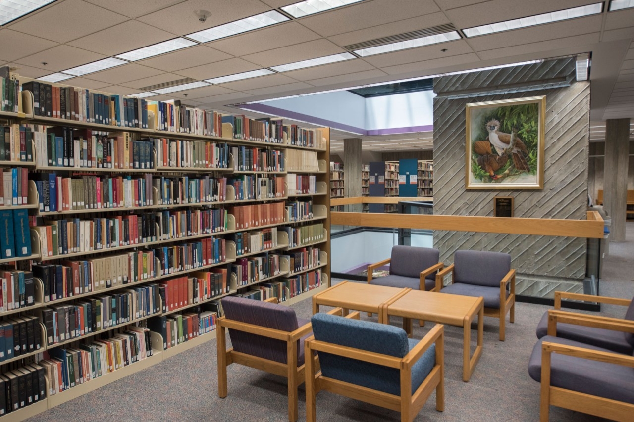 Open access area of the Steely Library