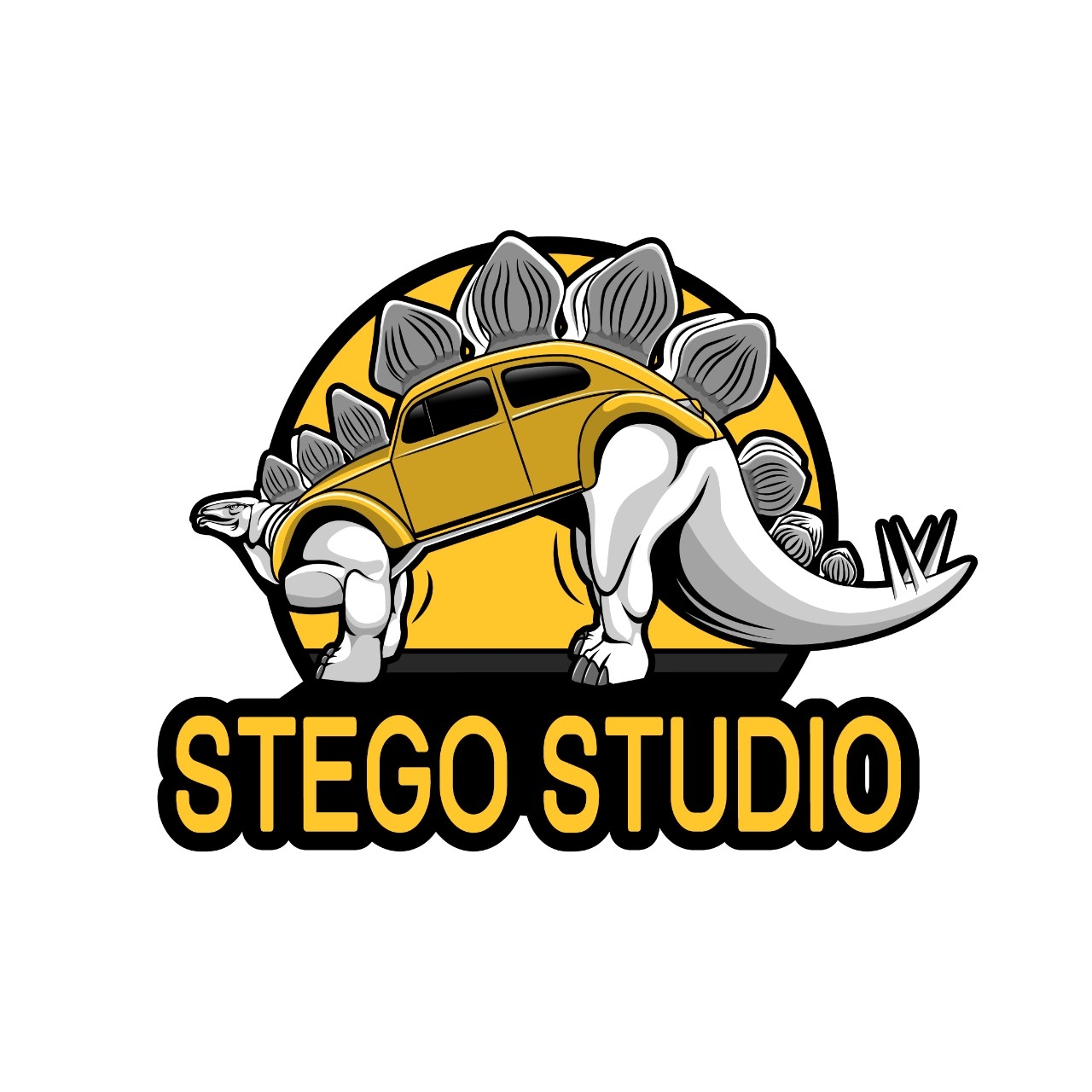 Stego Studio