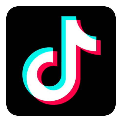 TikTok Icon
