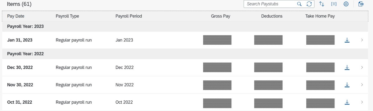 The paystub view screen in myNKU.