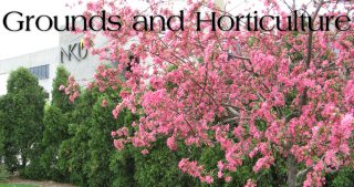 Grounds and Horticulture