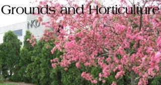 Grounds And Horticulture