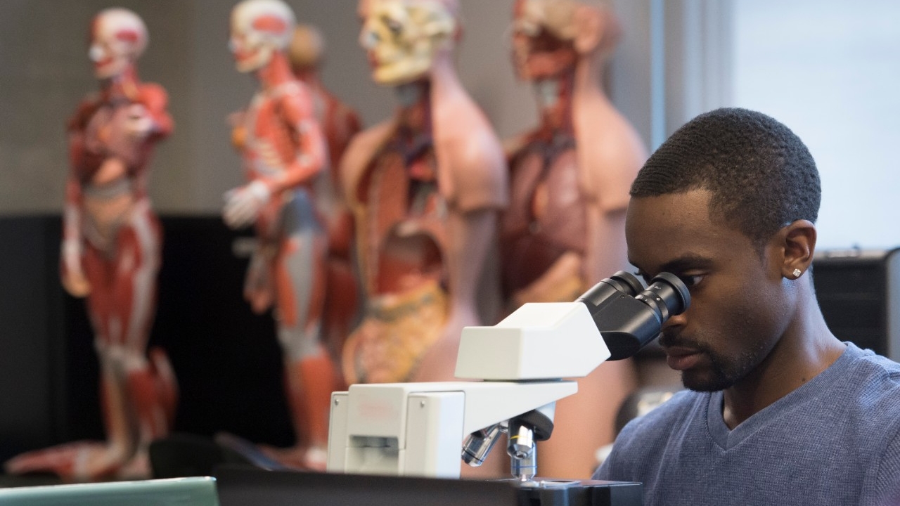 College of Arts & Sciences