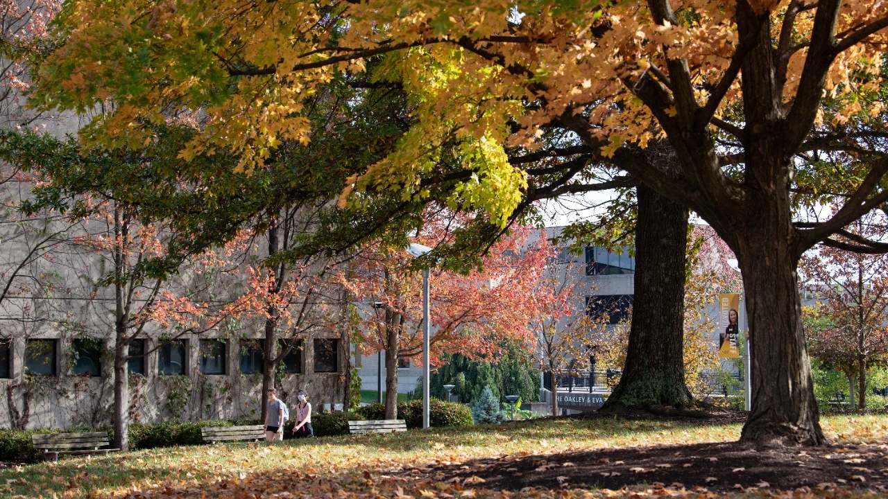 Campus view in Fall