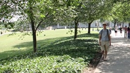 Students walking on campus