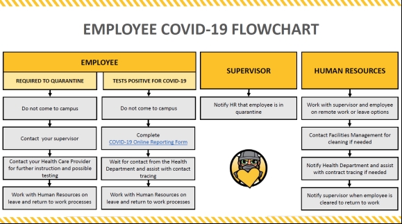 Employee Covid Flowchart