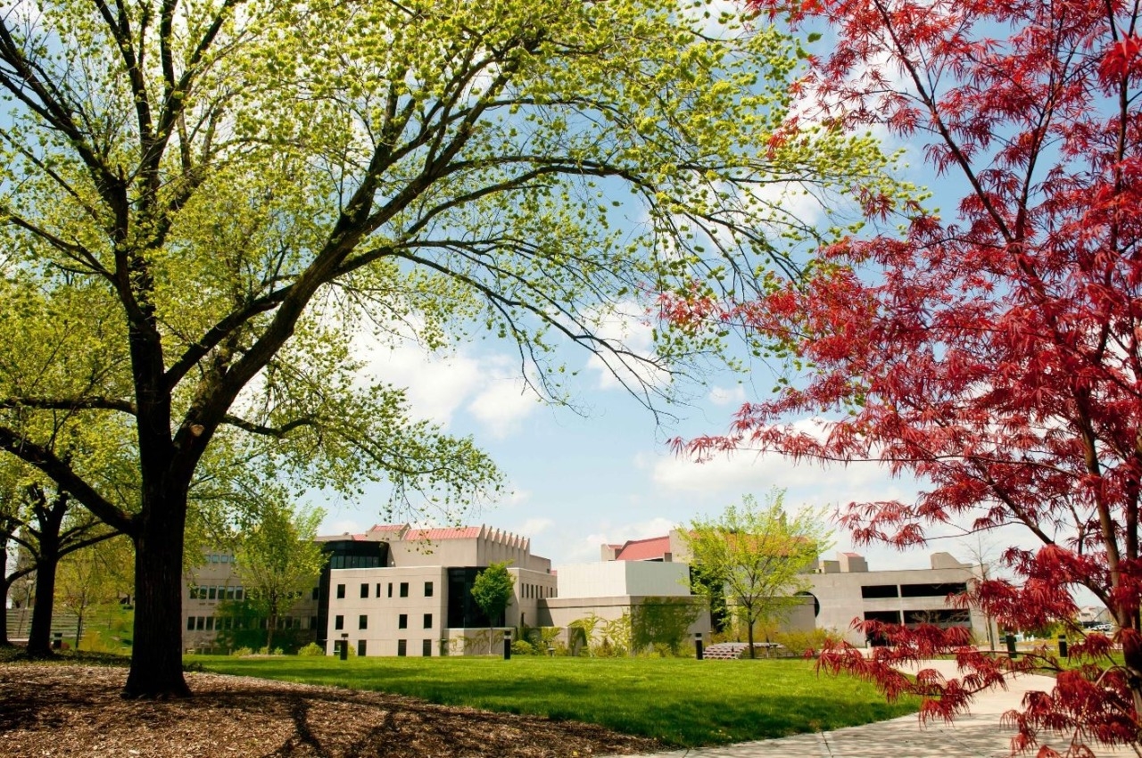 A picture of the core of campus in the Fall