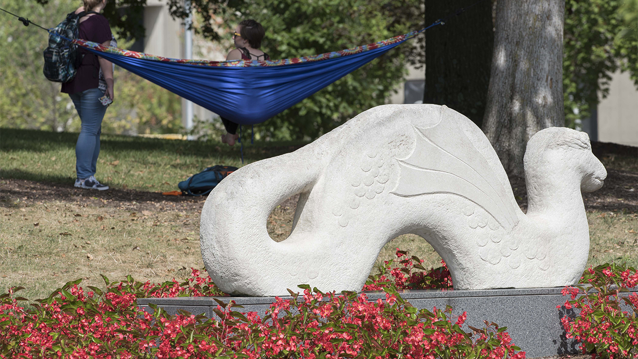 Art Installation of Dragon on NKU quad