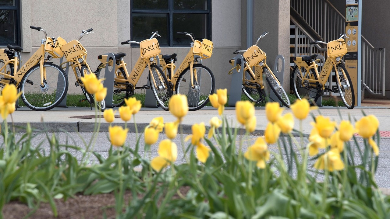 Norse Hall, NKU bikes