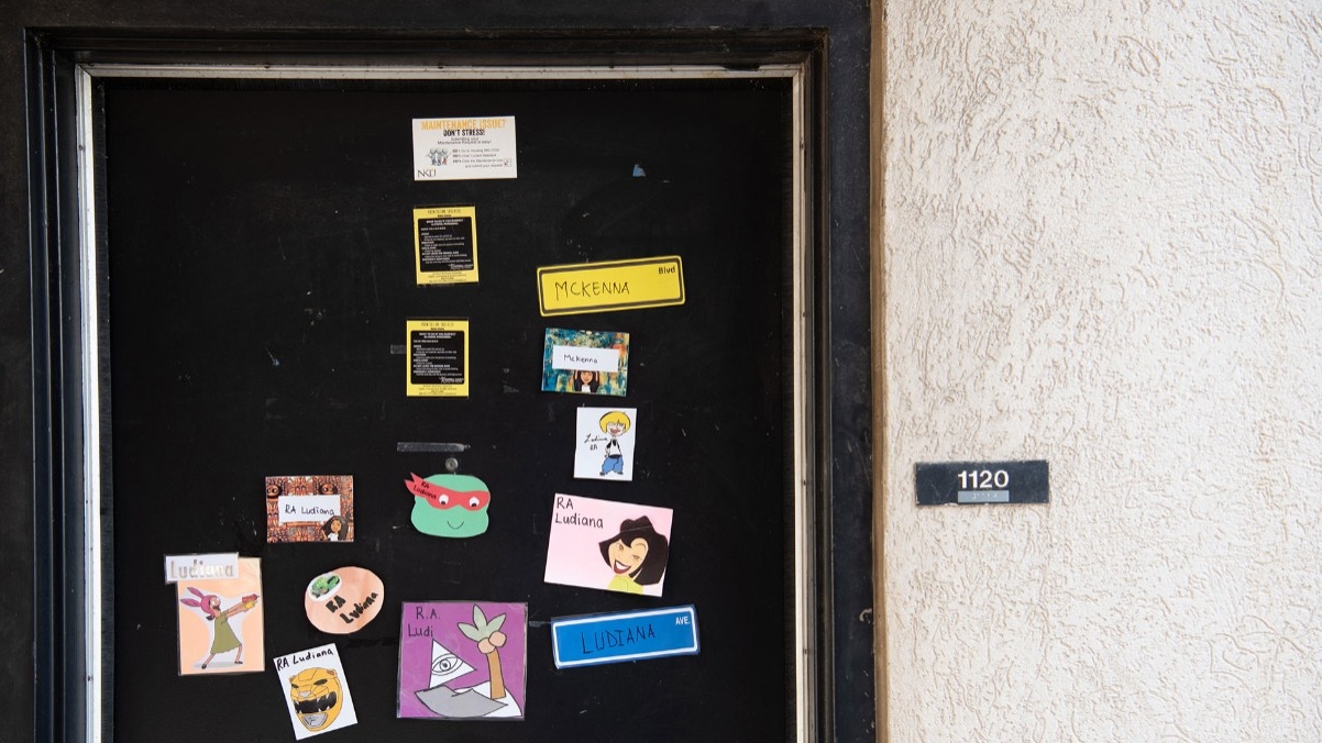 Door with door decorations