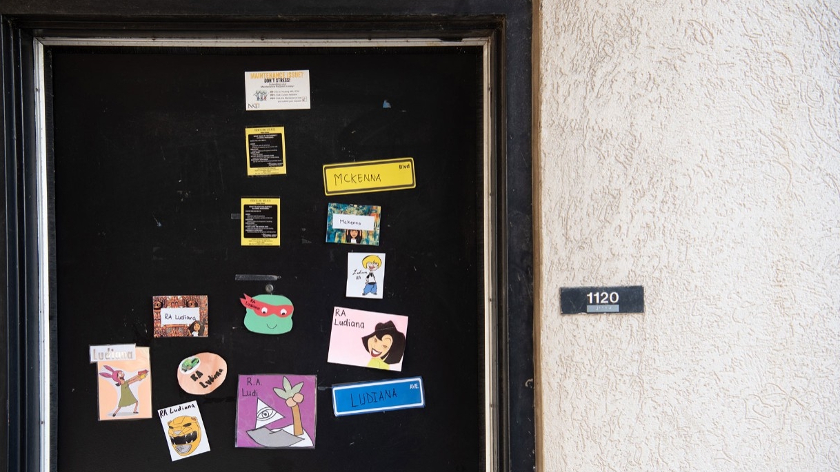 Door with door decorations