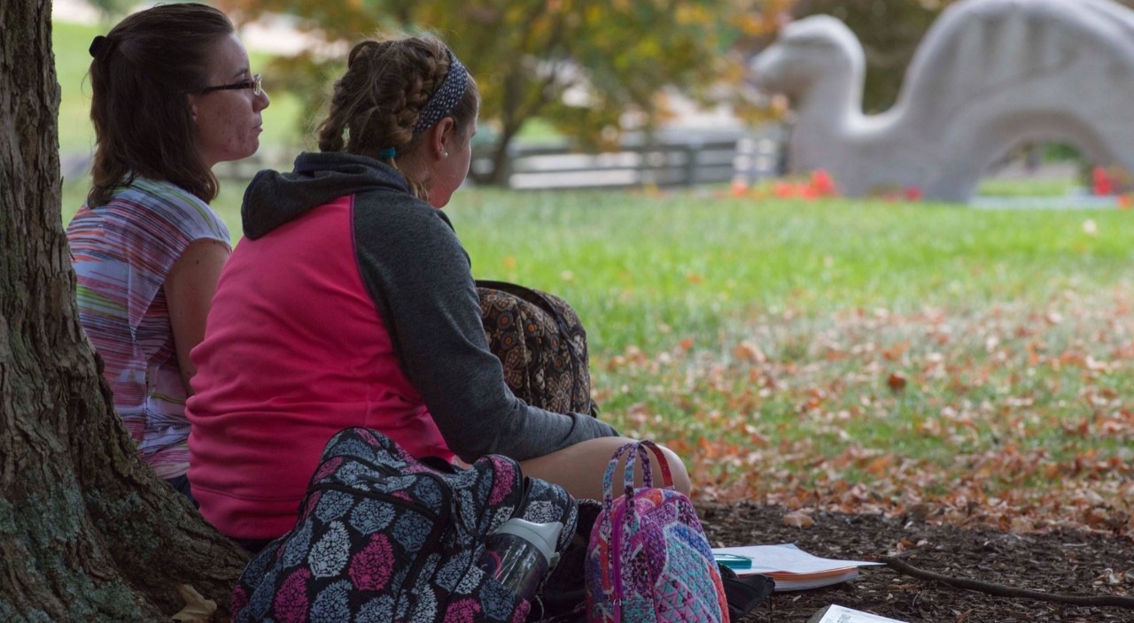 Women Looking at Nessy