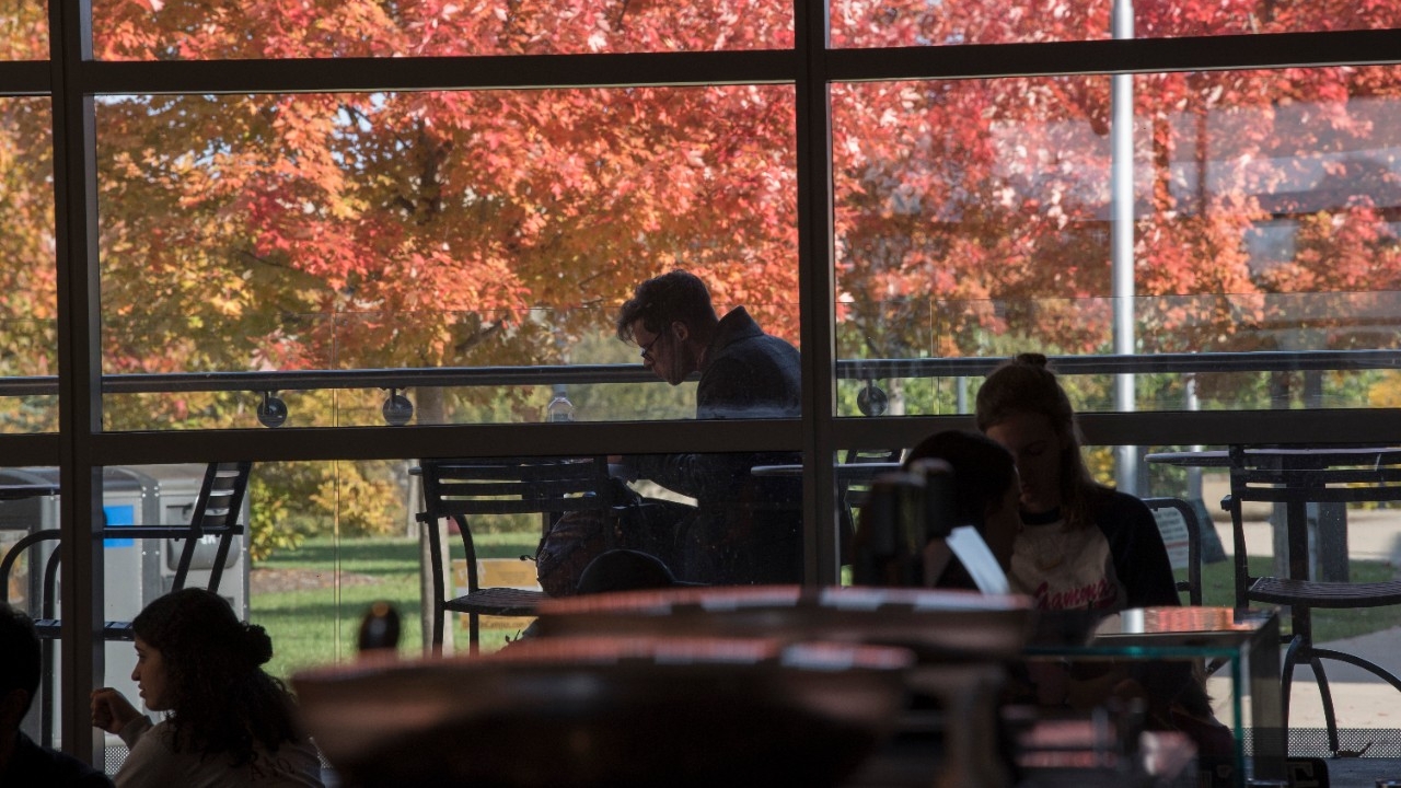 Students studying by Fall leaves
