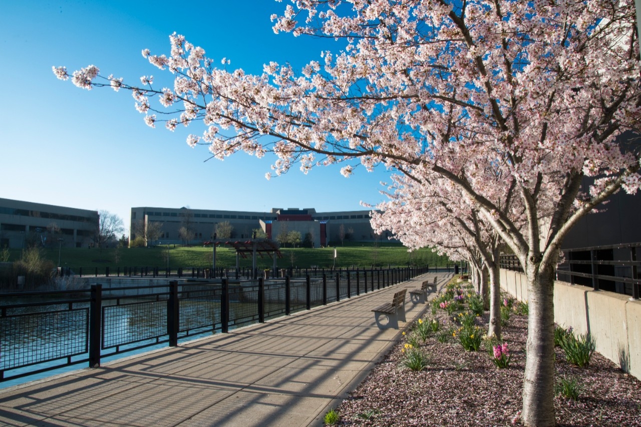 A picture of Lake Norse and MEP on the NKU Campus