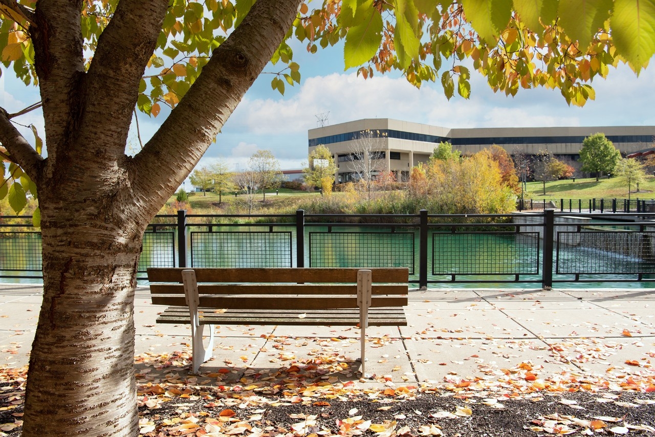 A picture of a bench looking over Loch Norse towards the Business building