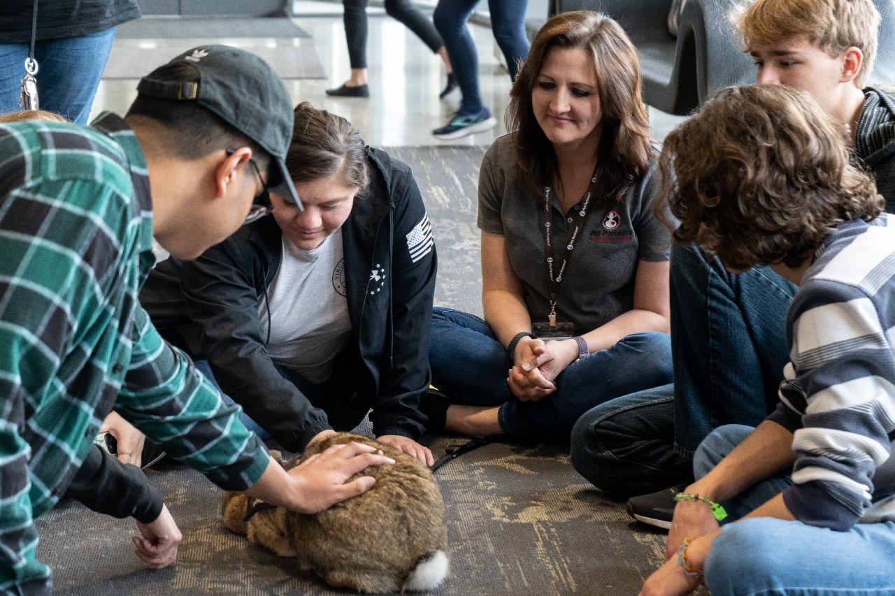 Rec Your Final: Students Petting Therapy Bunny