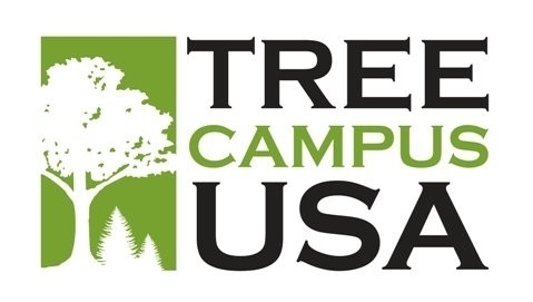 Tree Campus usa Link