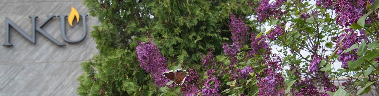 NKU branded lettering on the wall of a building above purple flowers and a butterfly 