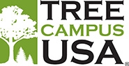 Tree Campus USA logo with green and white tree shadow