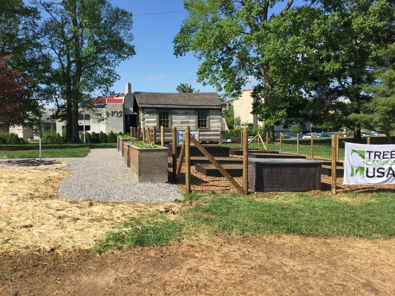 Newly built community garden behind historic log house and clear sky