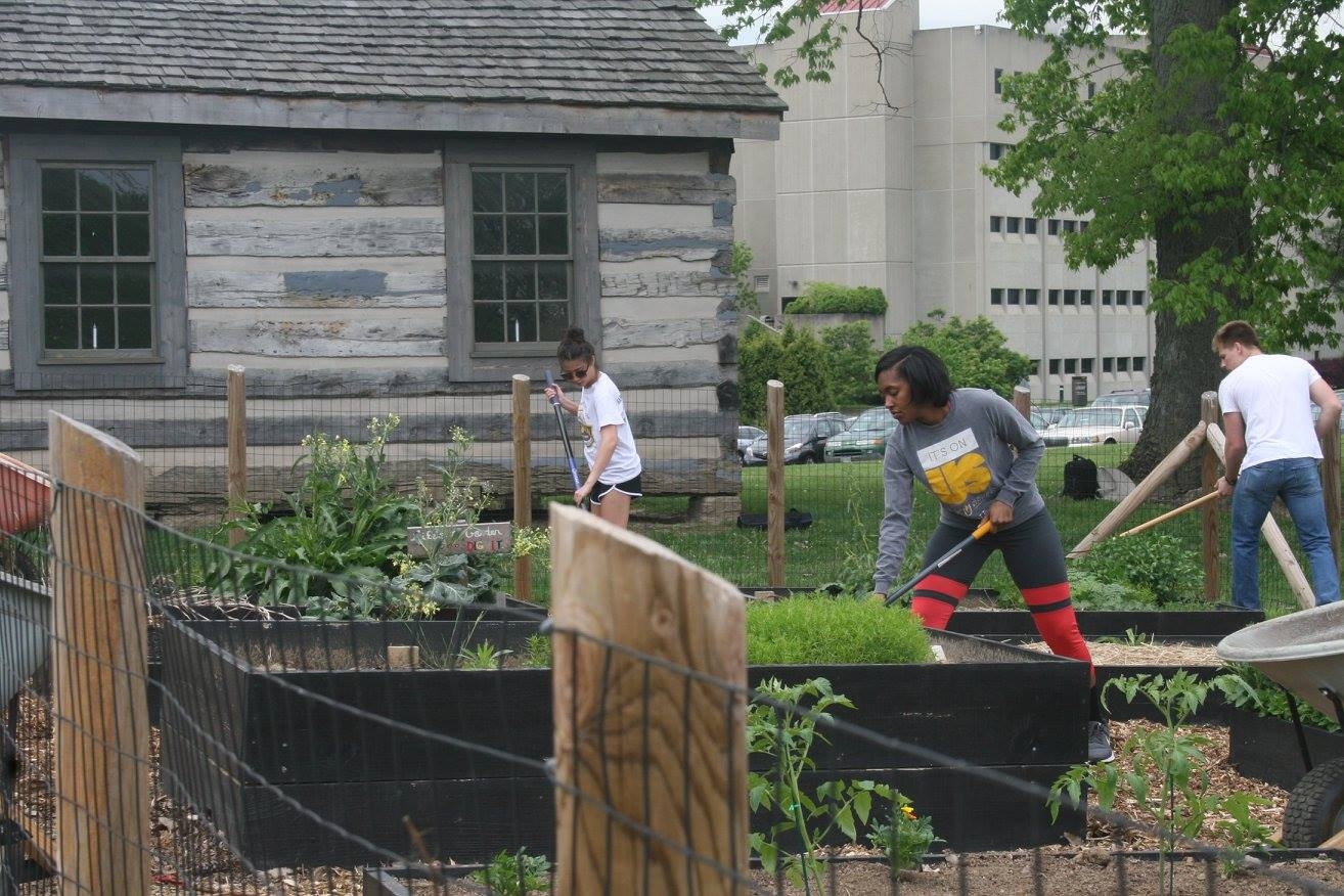 Three volunteers use hand tools to clean up a community garden 