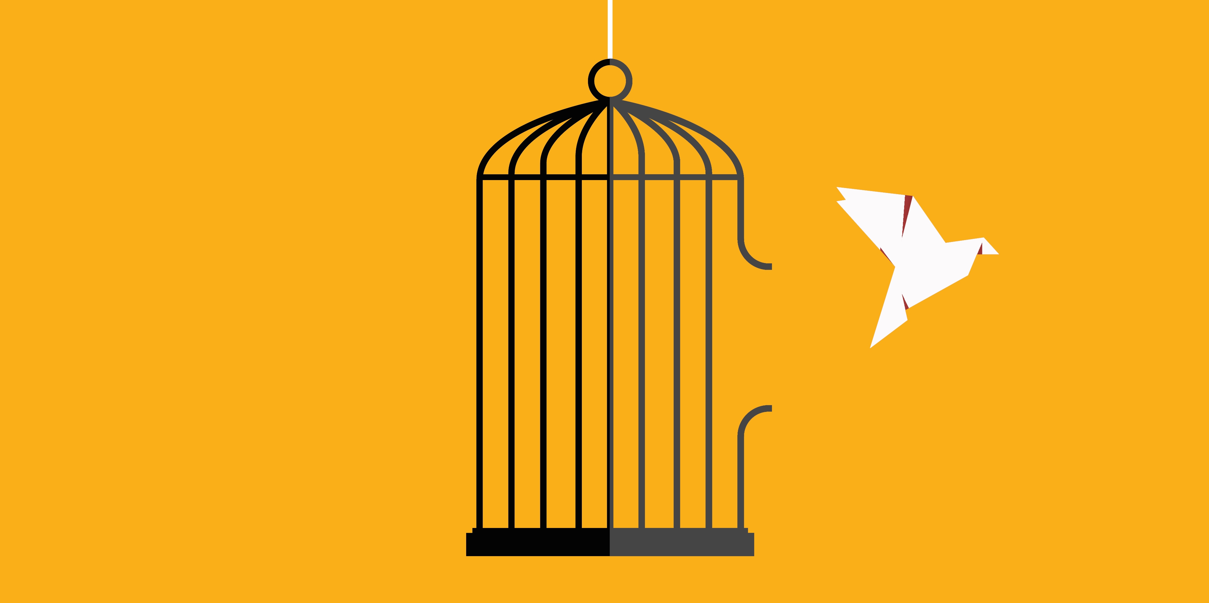 Bird flying free from a cage