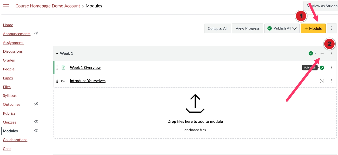 Adding items to modules in Canvas