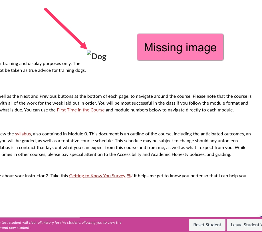 screenshot of Canvas showing a missing image and just alt text of "dog"