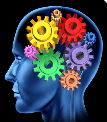 head with gears inside representing different regions of the brain