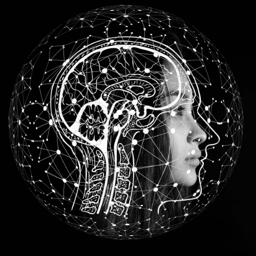 Image of brain super-imposed on a person's head