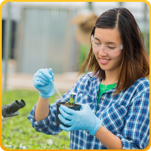 Student using a droper to test plant soil in the field
