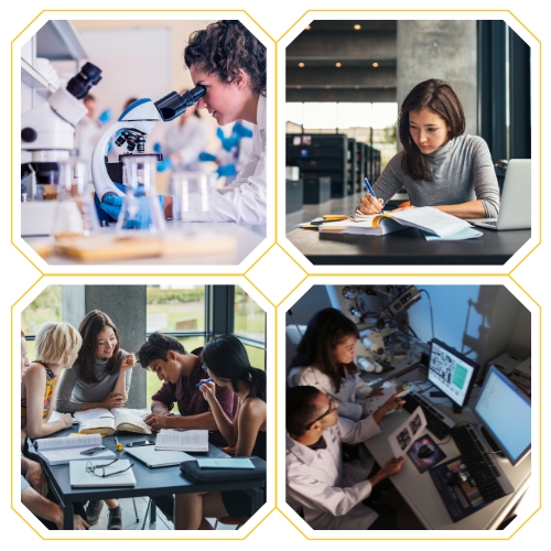 Research practices in undergraduate courses can provide big results. 