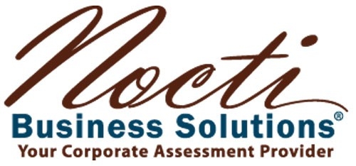 Nocti Business Solutions logo