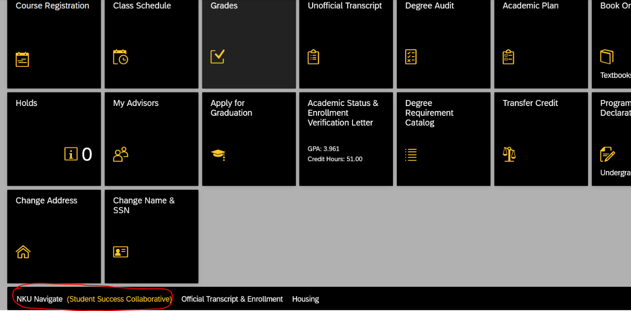 Image of MyNKU screen shot